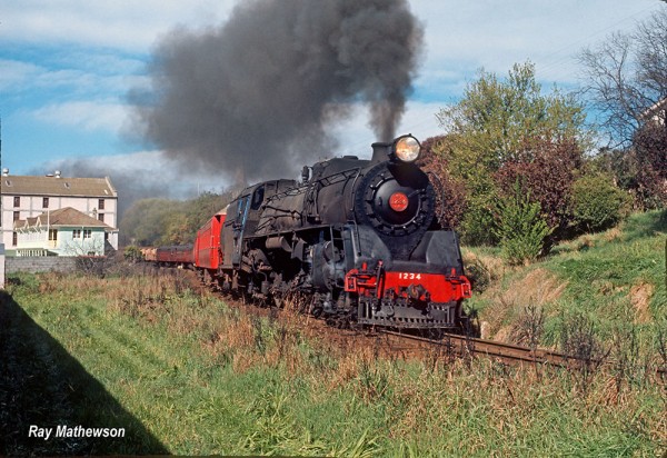 J1234 on South Island Limited