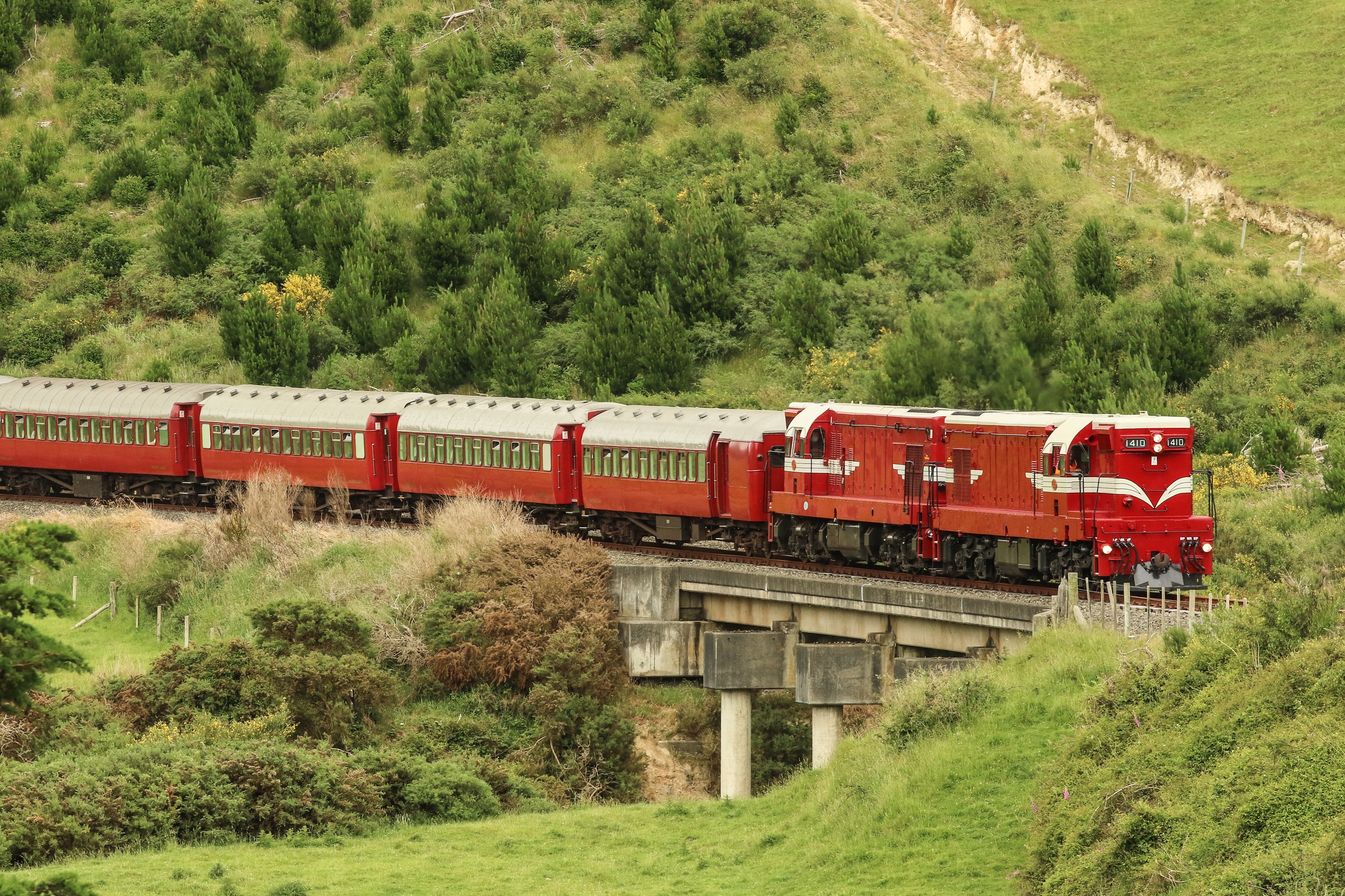 Semi Circle Rail Cruise